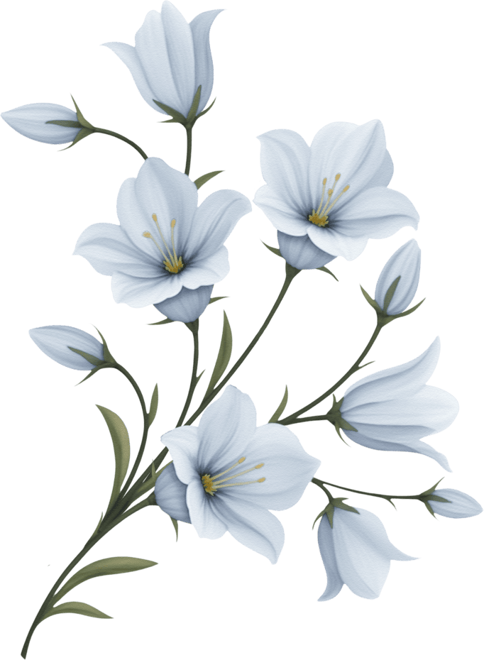 orn-gift